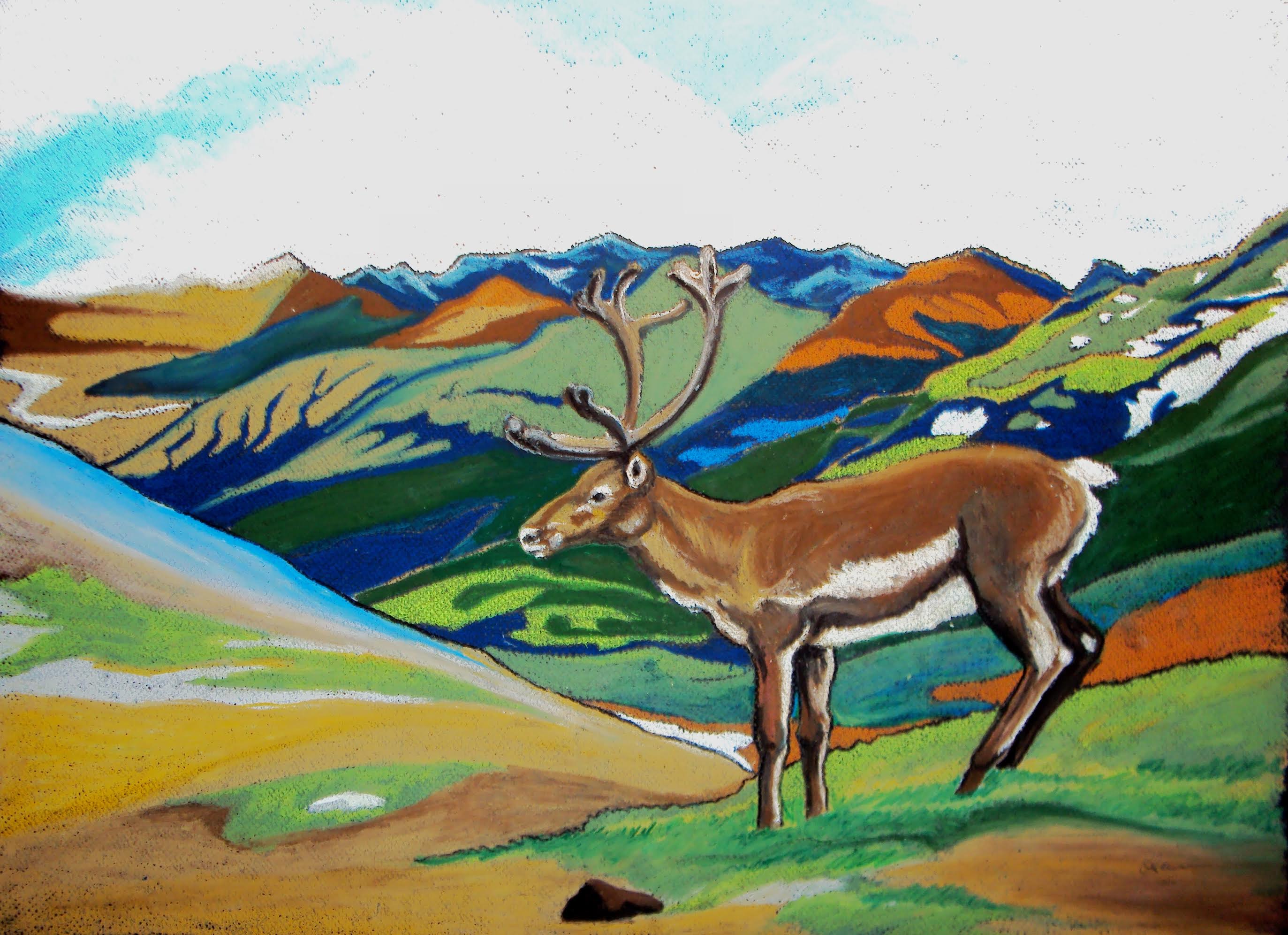 jan18-samano-reindeer