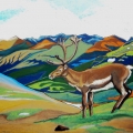 jan18-samano-reindeer