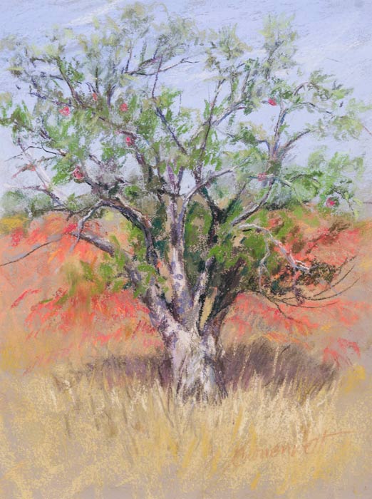 feb15-cronenwett-old-700hi