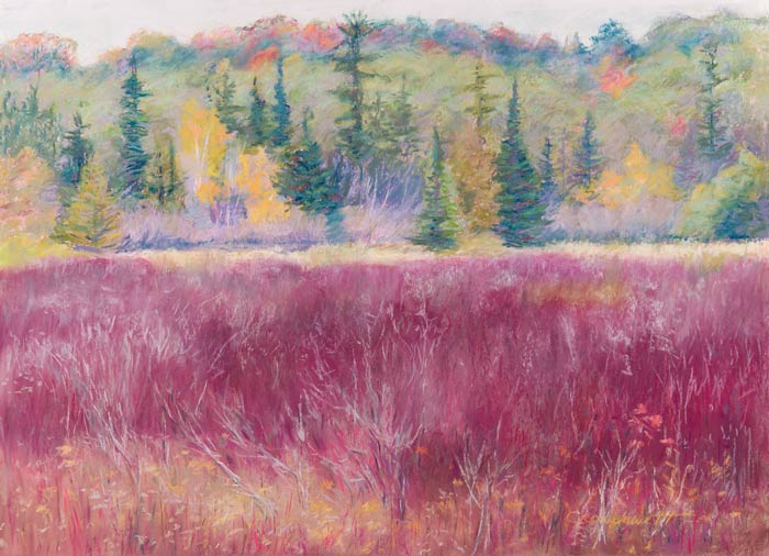 feb15-cronenwett-red-700wi