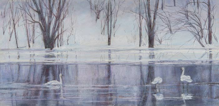 feb15-cronenwett-winter-700wi