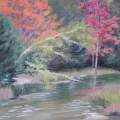 feb15-cronenwett-birch-700hi