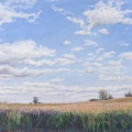 feb15-cronenwett-cornfield-700wi