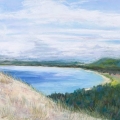 feb15-cronenwett-looking-700wi