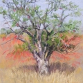 feb15-cronenwett-old-700hi