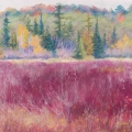 feb15-cronenwett-red-700wi