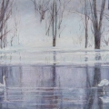 feb15-cronenwett-winter-700wi