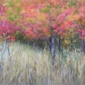 sep-cronenwett-colors-of-autumn-700wi