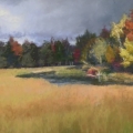 sep17-cronenwett-autumnwetlands-700wi