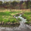 sep17-cronenwett-millcreekearlyspring-700wi