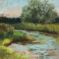 sep17-cronenwett-millcreekwillow-700hi