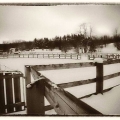 apr13-hauser-winter-700wi