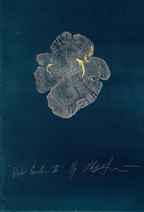 May19-gotlib-waterIV-700hi