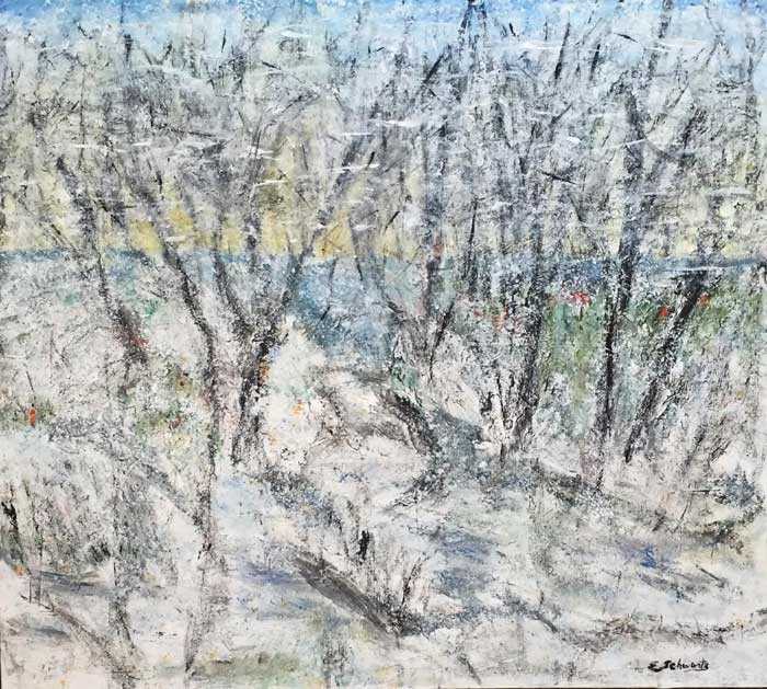 jan17-schwartz-lakeeffect-700wi