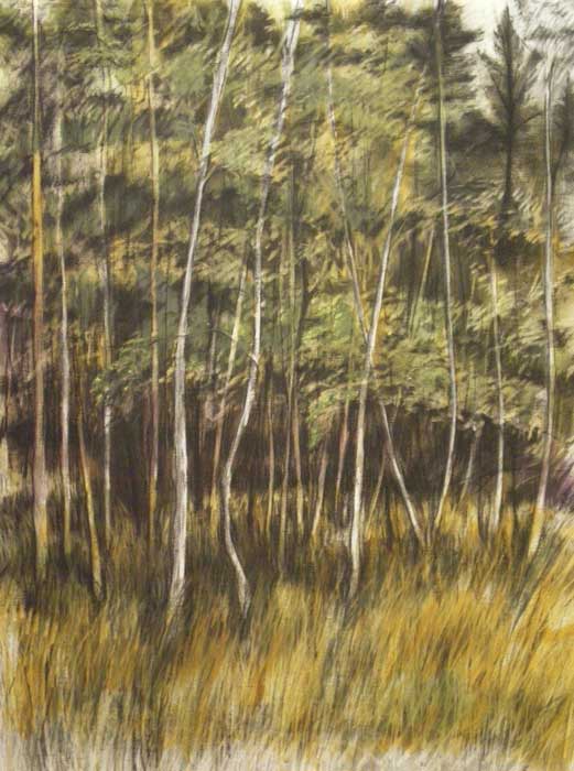 jan17-venturelli-birches-700hi