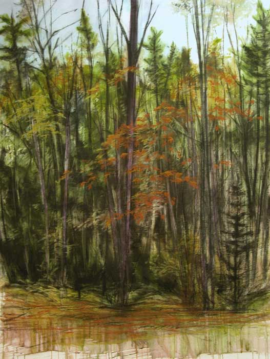 jan17-venturelli-fallblooming-700hi