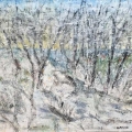 jan17-schwartz-lakeeffect-700wi