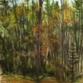 jan17-venturelli-fallblooming-700hi