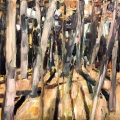 jan19-tinney-littlewalk-m-700wi