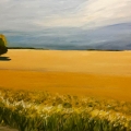 jan19-headly-wheat-700wi