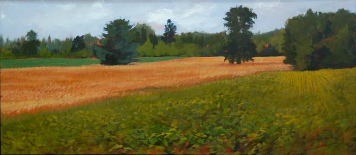 jun15-venturelli-wedge-700wi