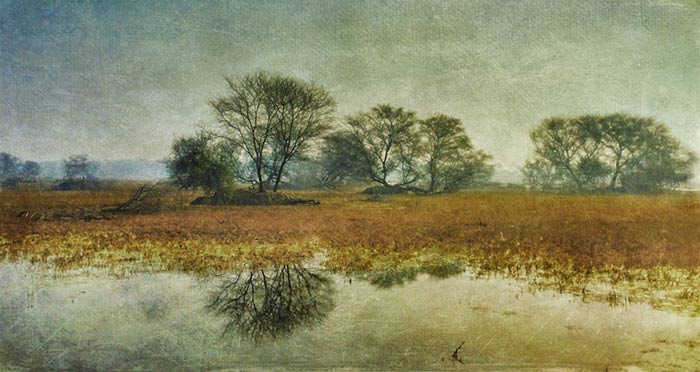 may15-hauser-fortunate3-700wi