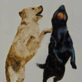 jun15-pappas-twolabs-700wi