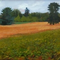 jun15-venturelli-wedge-700wi