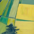 nov16-coron-yellow-and-green-no-2-700hi