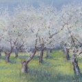 may15-cronenwett-leelanau-700wi