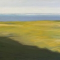 may15-headly-shoreline-700wi