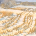 may15-lovejoy-winter-700hi