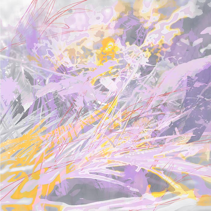 Wild Forest, No. 5