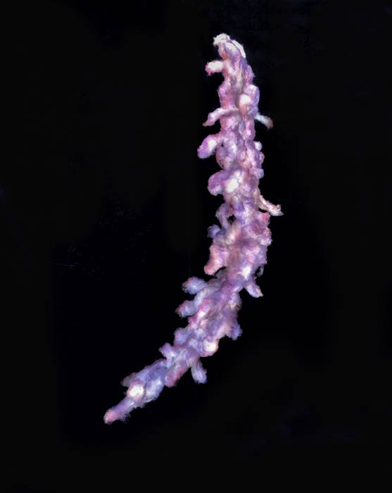aug18-potter-veilnebula-700hi