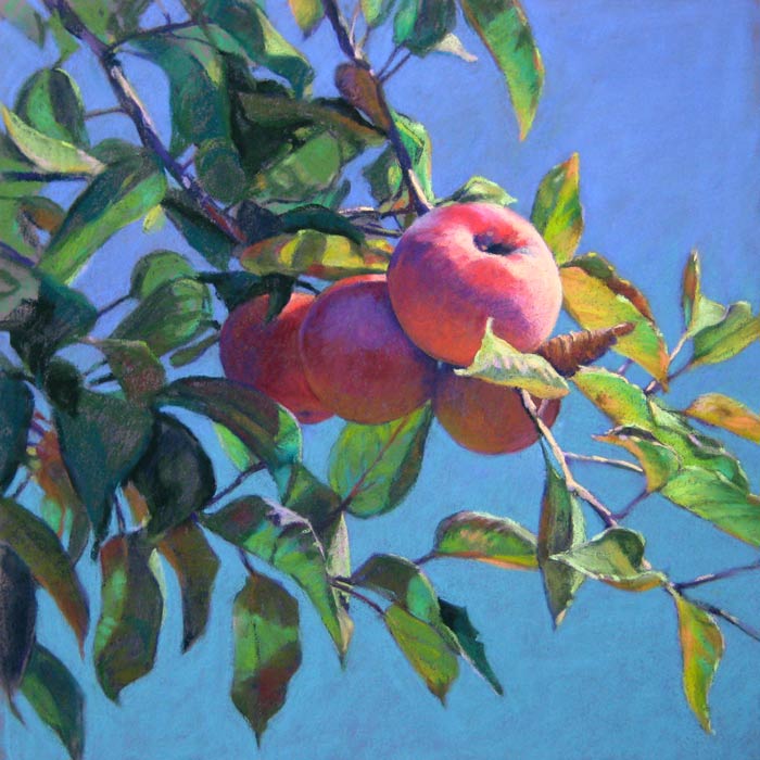 feb17-wagnerjill-orchard6-700wi