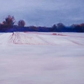 apr13coronwinters700wi