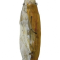 apr13kelmancoral700hi