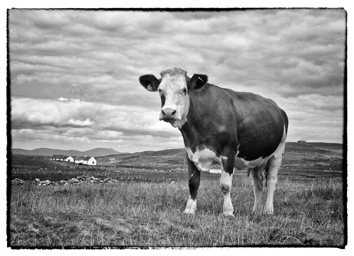 apr15-hauser-enjoying-700wi