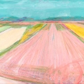 apr16-coron-pinkfield-700wi
