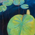 apr16-cronenwett-afloat-700hi