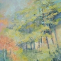 apr16-cronenwett-foreststudy-700hi
