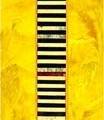 aug15-gooch-boku-yellow-700hi