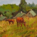 aug15-venturelli-grazing-700wi