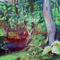 aug14-kaplanlatespring700wi