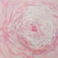 aug14-tlokpink700wi