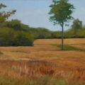aug14-venturellifields700wi