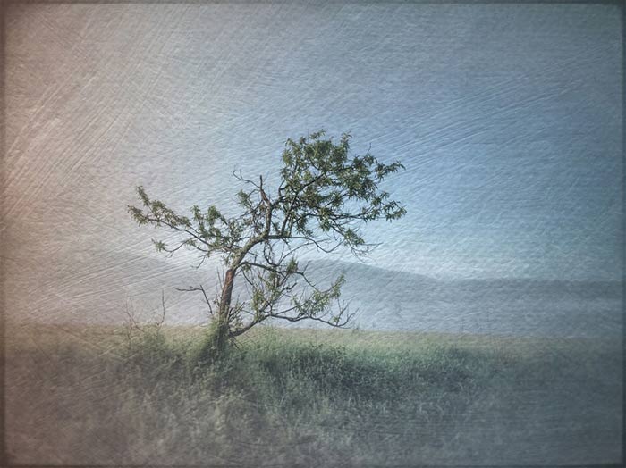 aug16-hauser-leaving-700wi