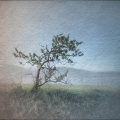 aug16-hauser-leaving-700wi