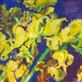 aug16-kaplan-barbaras-yellow-700wi