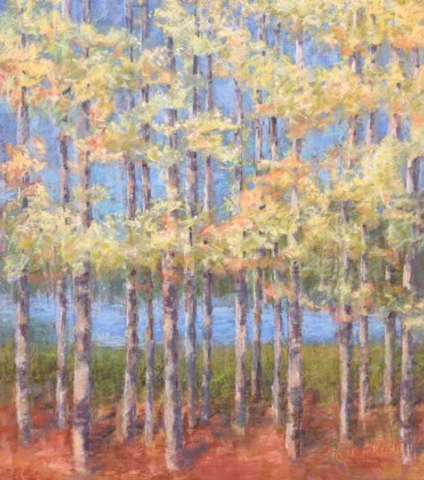 aug17-cronenwett-grove-700hi